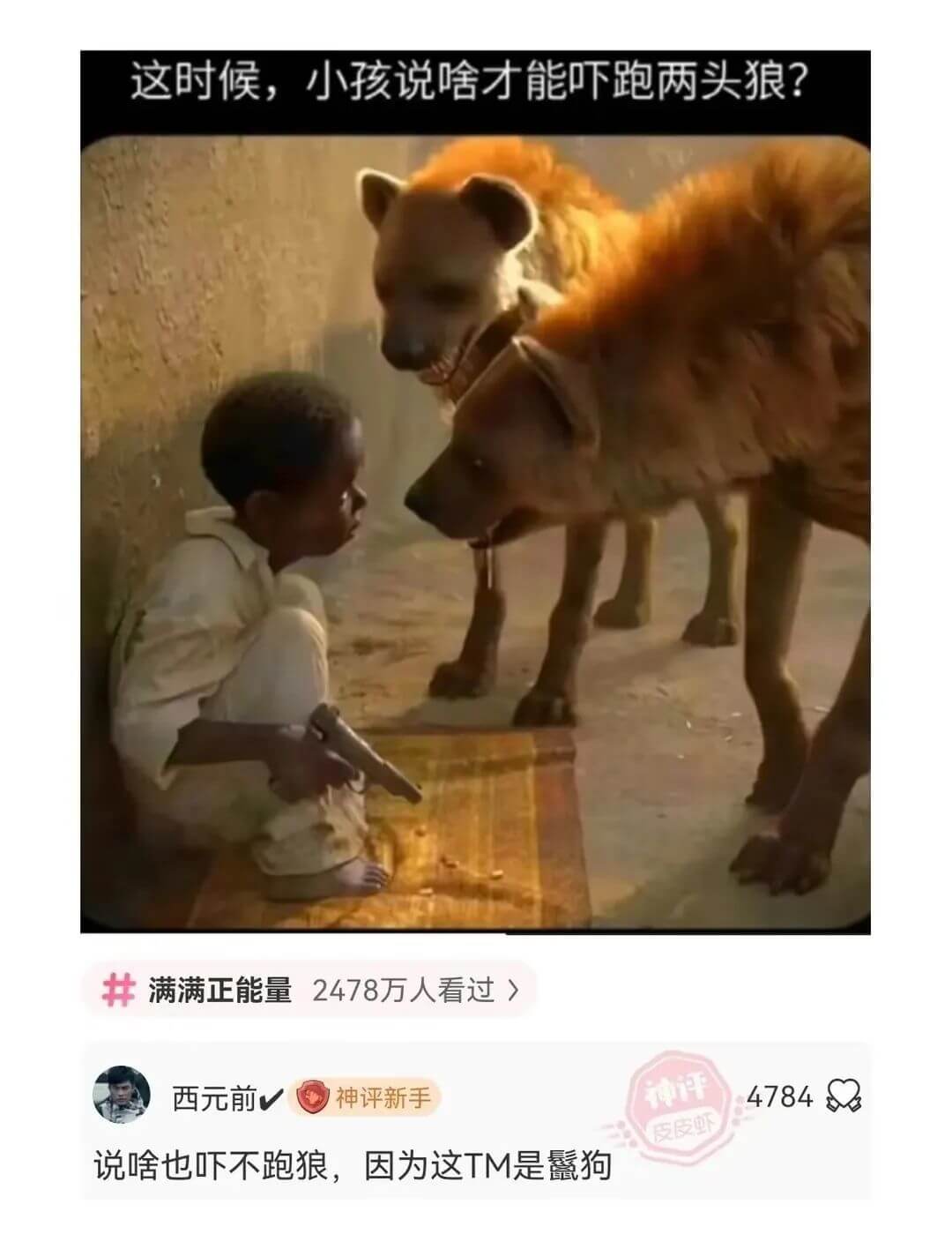 这时候，小孩说啥才能吓跑两头狼?满满正能量2478万人看过西