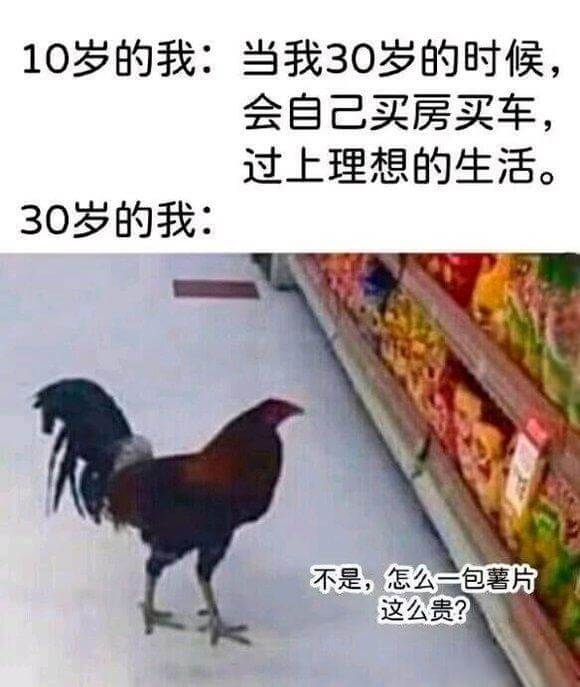 10岁的我：当我30岁的时候，会自己买房买车，过上理想的生活