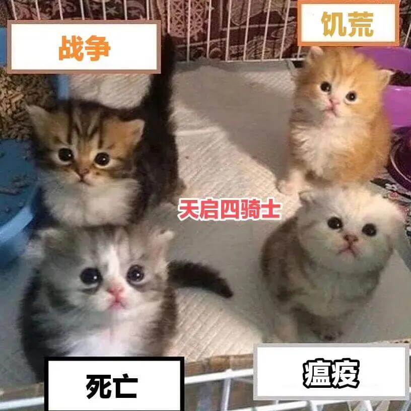 饥荒战争瘟疫死亡