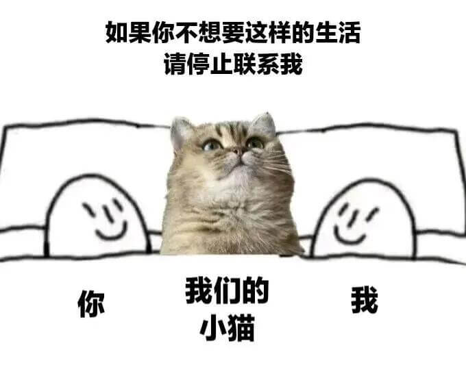 如果你不想要这样的生活请停止联系我我们的你我小猫