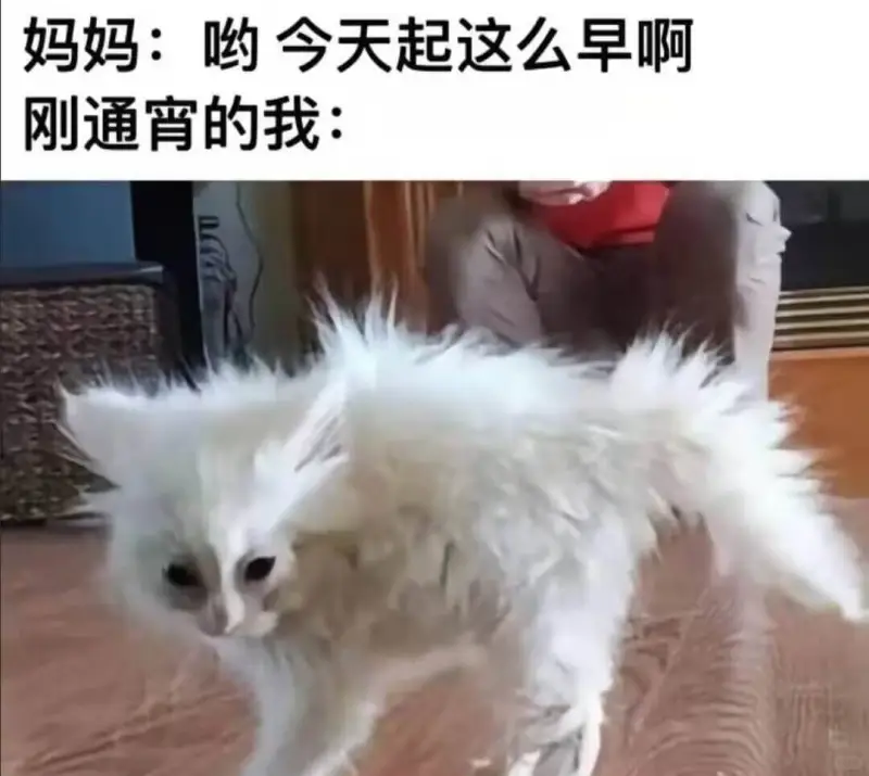妈妈:哟今天起这么早啊刚通宵的我: