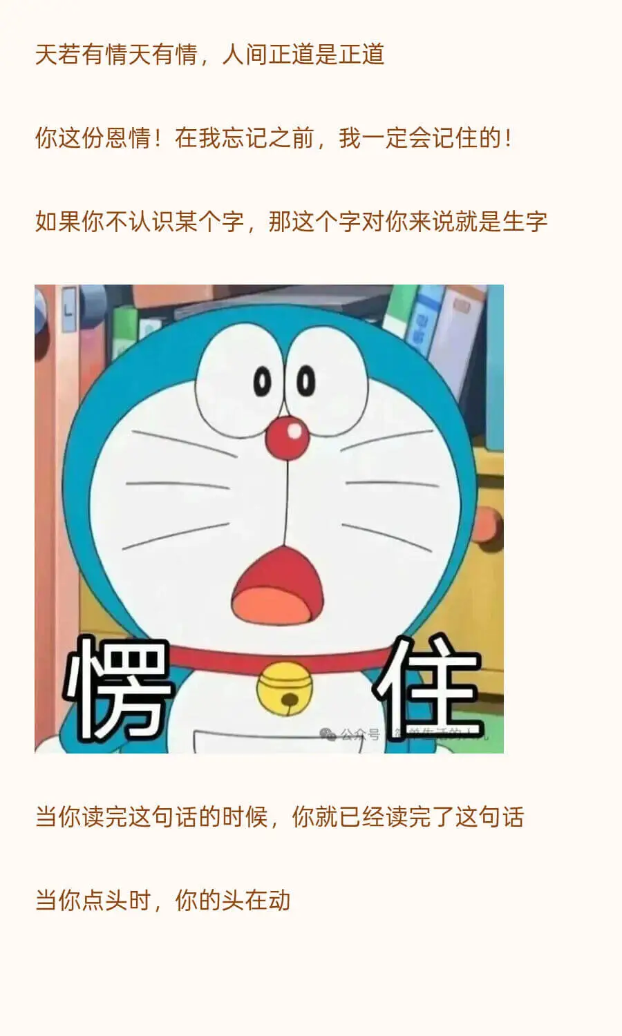 天若有情天有情，人间正道是正道你这份恩情！在我忘记之前，我一