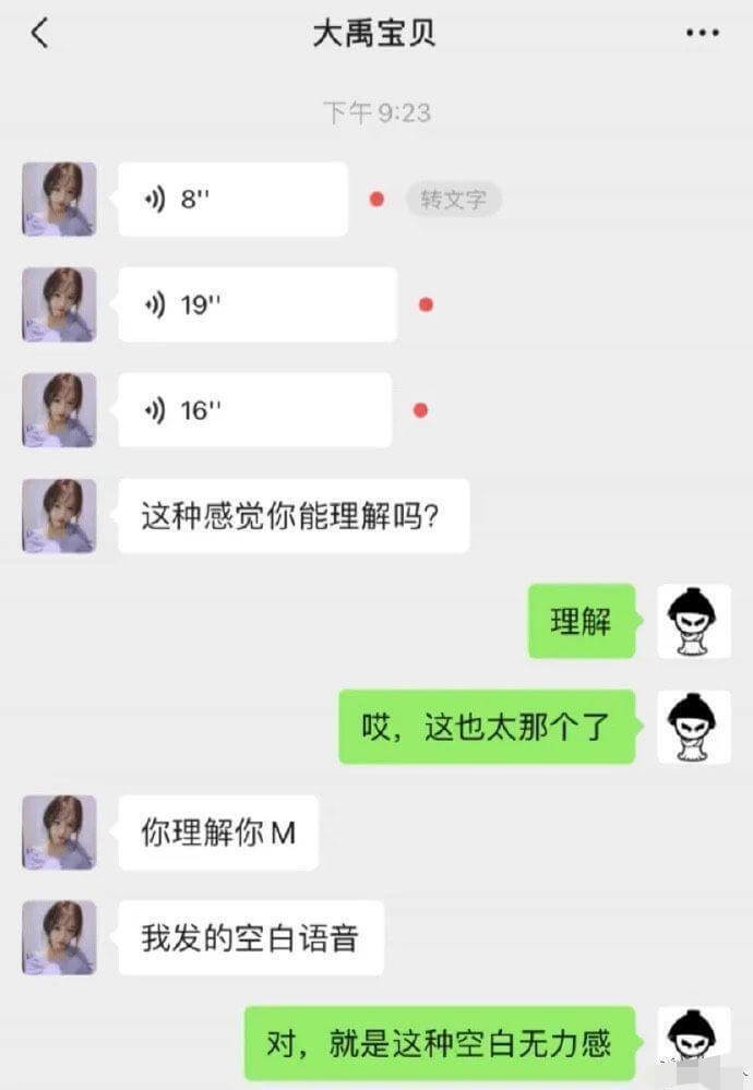大禹宝贝下午9:238转文字1916这种感觉你能理解吗?理解