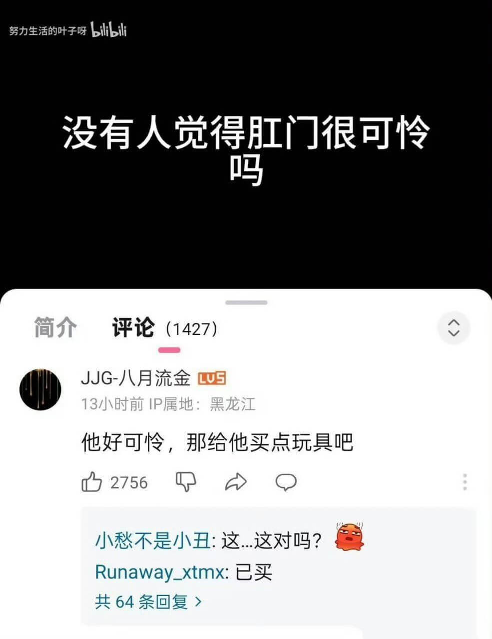 努力生活的叶子呀bilbili没有人觉得肛门很可怜吗简介评论