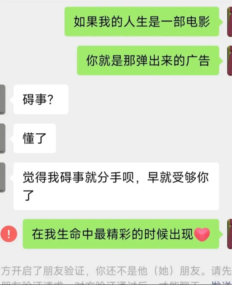 如果我的人生是一部电影你就是那弹出来的广告碍事?懂了觉得我碍