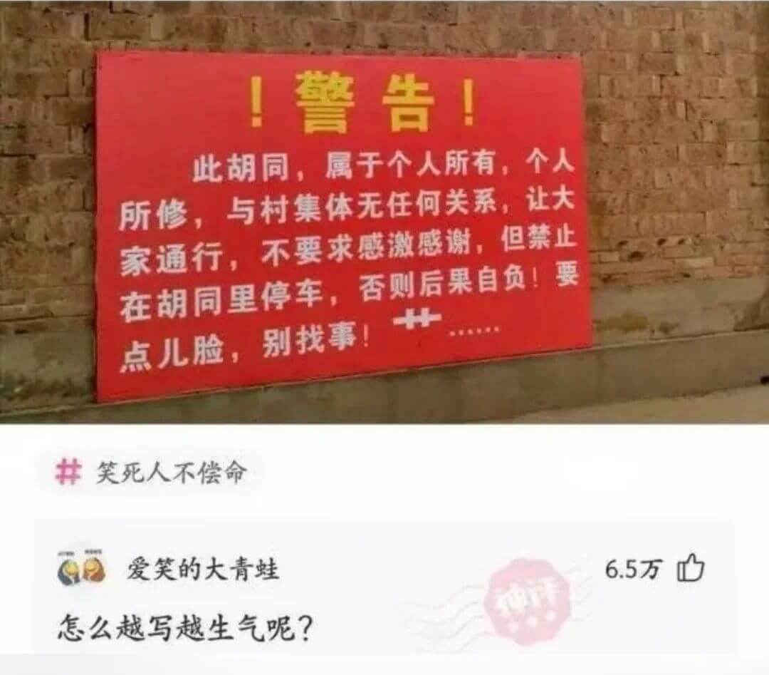 ！警告！此胡同，属于个人所有，个人所修，与村集体无任何关系，
