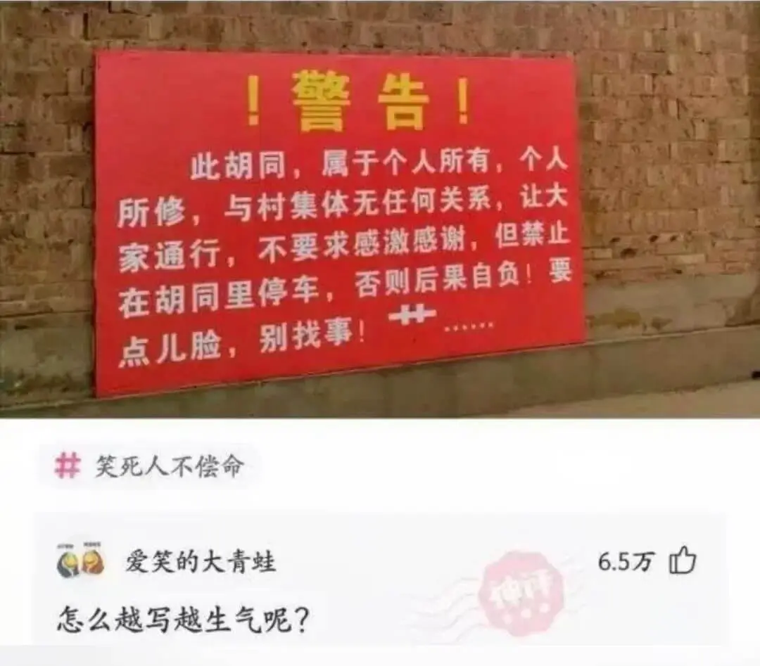 ！警告！此胡同，属于个人所有，个人所修，与村集体无任何关系，