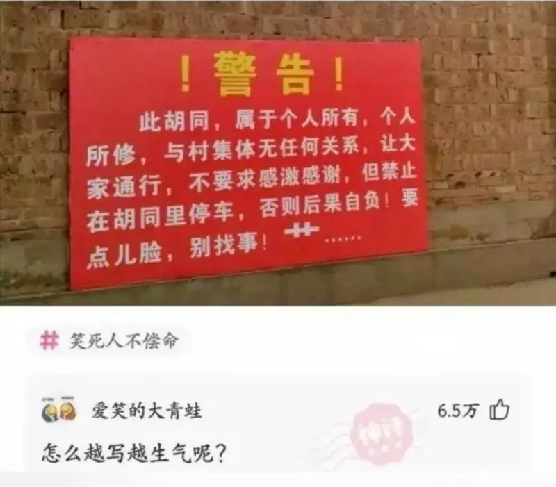 ！警告！此胡同，属于个人所有，个人所修，与村集体无任何关系，