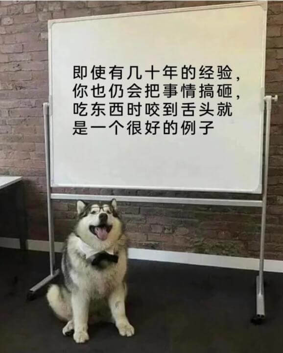 即使有几十年的经验你也仍会把事情搞砸吃东西时咬到舌头就是一个