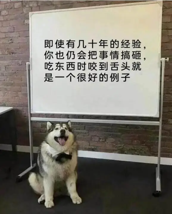 即使有几十年的经验你也仍会把事情搞砸吃东西时咬到舌头就是一个