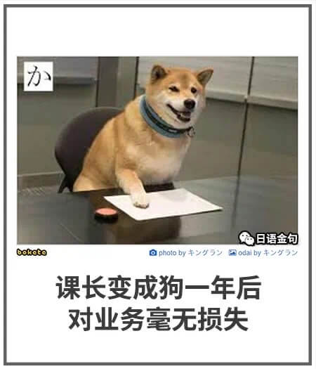 办日语金包boketopholobyodaiby课长变成狗一