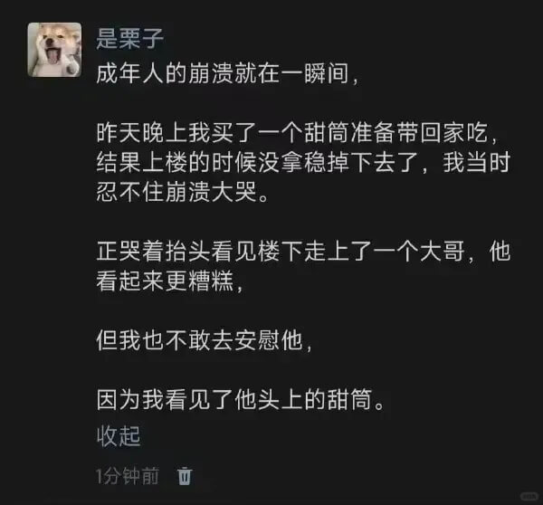 是栗子成年人的崩溃就在一瞬间，昨天晚上我买了一个甜筒准备带回