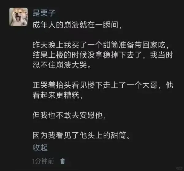是栗子成年人的崩溃就在一瞬间，昨天晚上我买了一个甜筒准备带回
