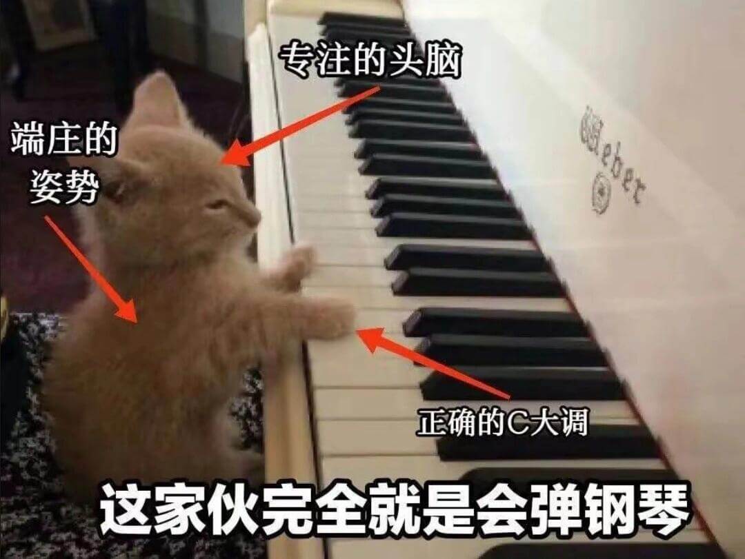 专注的头脑端庄的姿势正确的C大调这家伙完全就是会弹钢琴