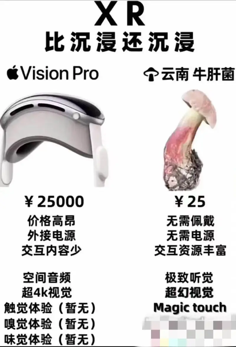 XR比沉浸还沉浸VisionPro云南牛肝菌￥25000价格