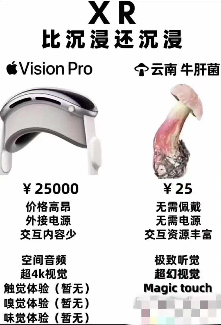 XR比沉浸还沉浸VisionPro云南牛肝菌¥25000价格