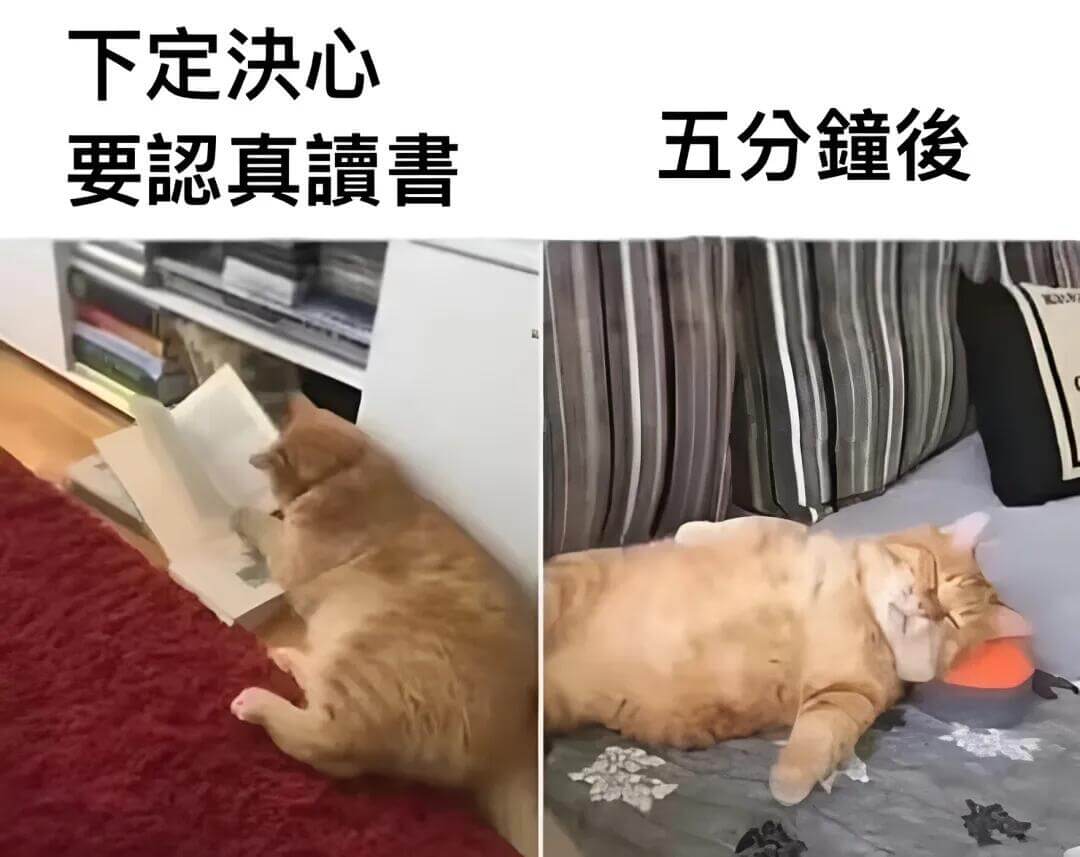 下定决心，五分钟俊要真护书。