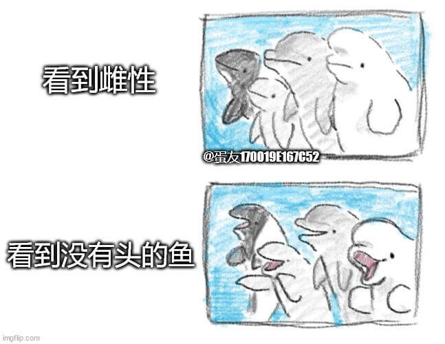 看到雌性@蛋友170019E167C52看到没有头的鱼img