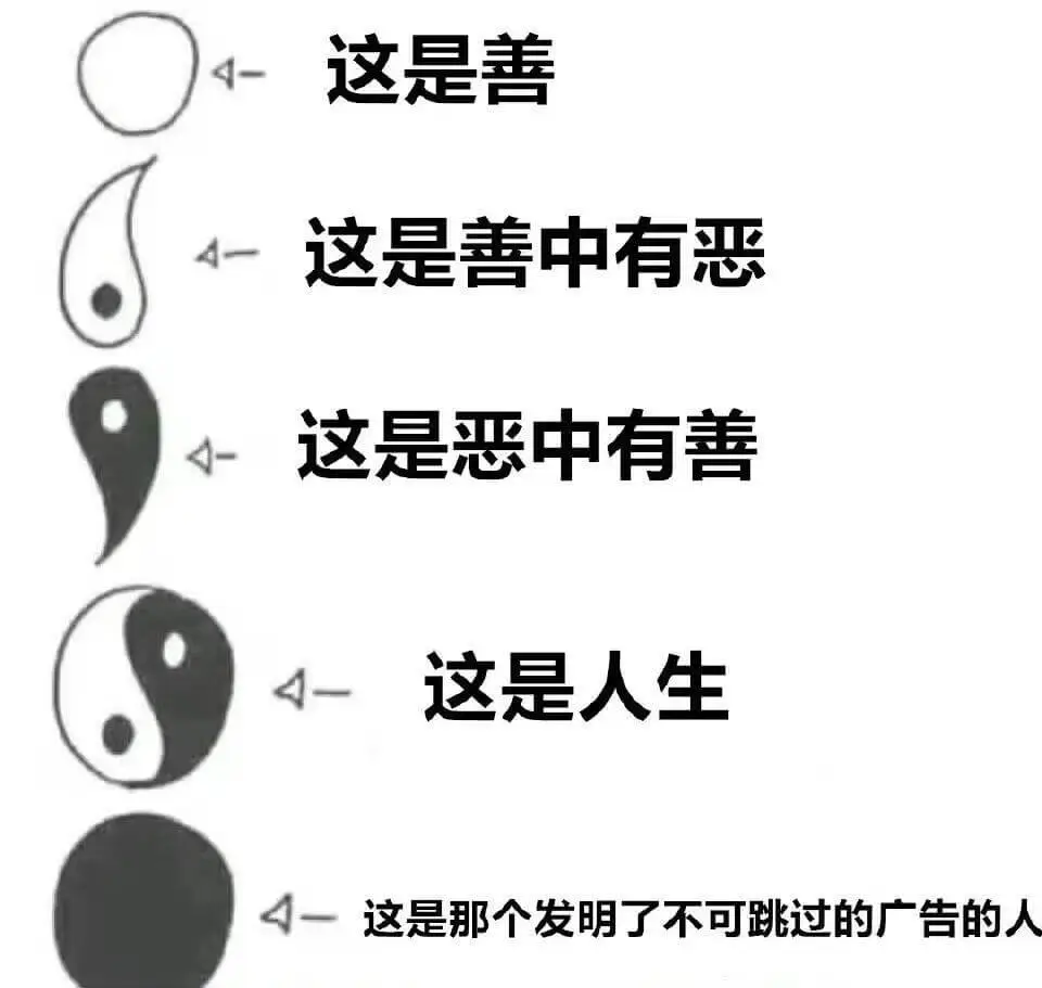 这是善这是善中有恶这是恶中有善这是人生这是那个发明了不可跳过