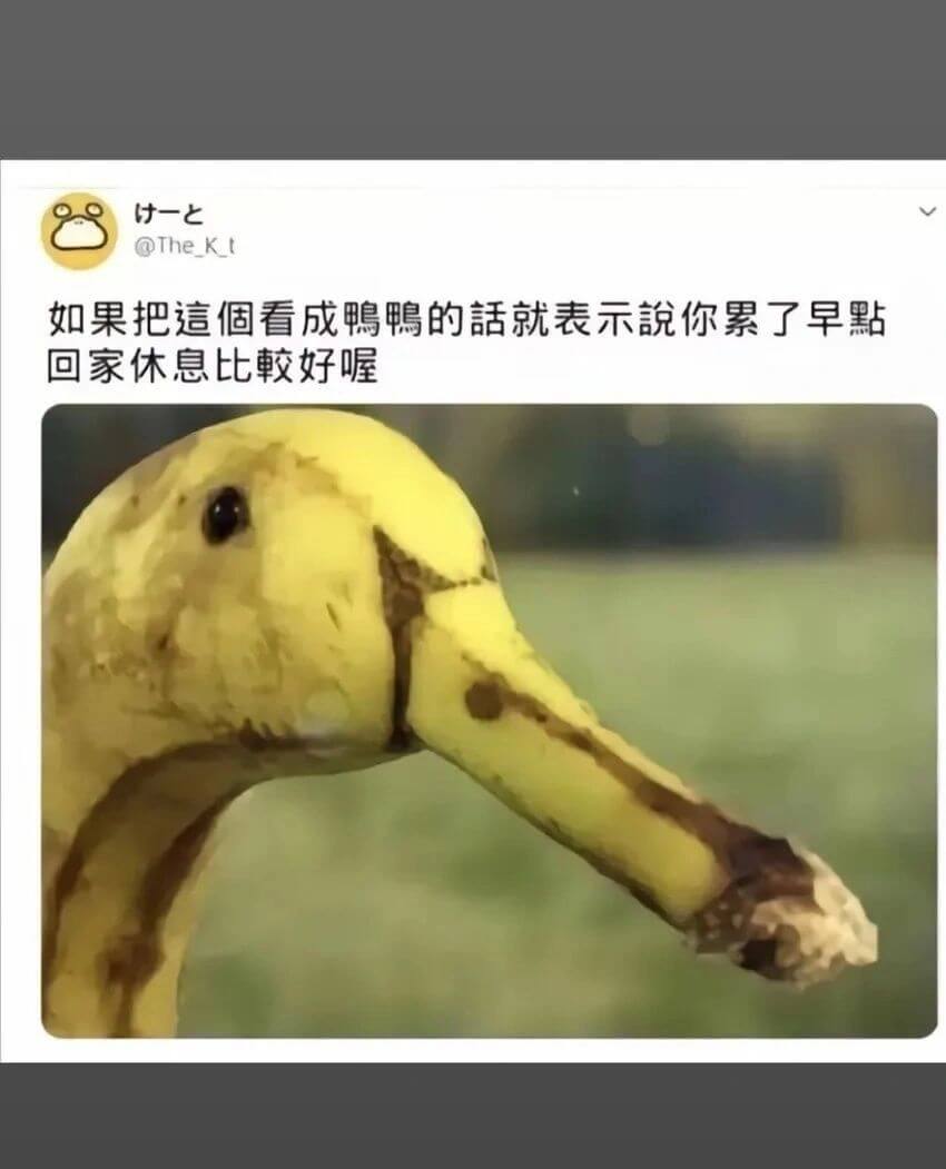 @The_Kt如果把這個看成鸭鸭的，就表示说你累了，早點回家