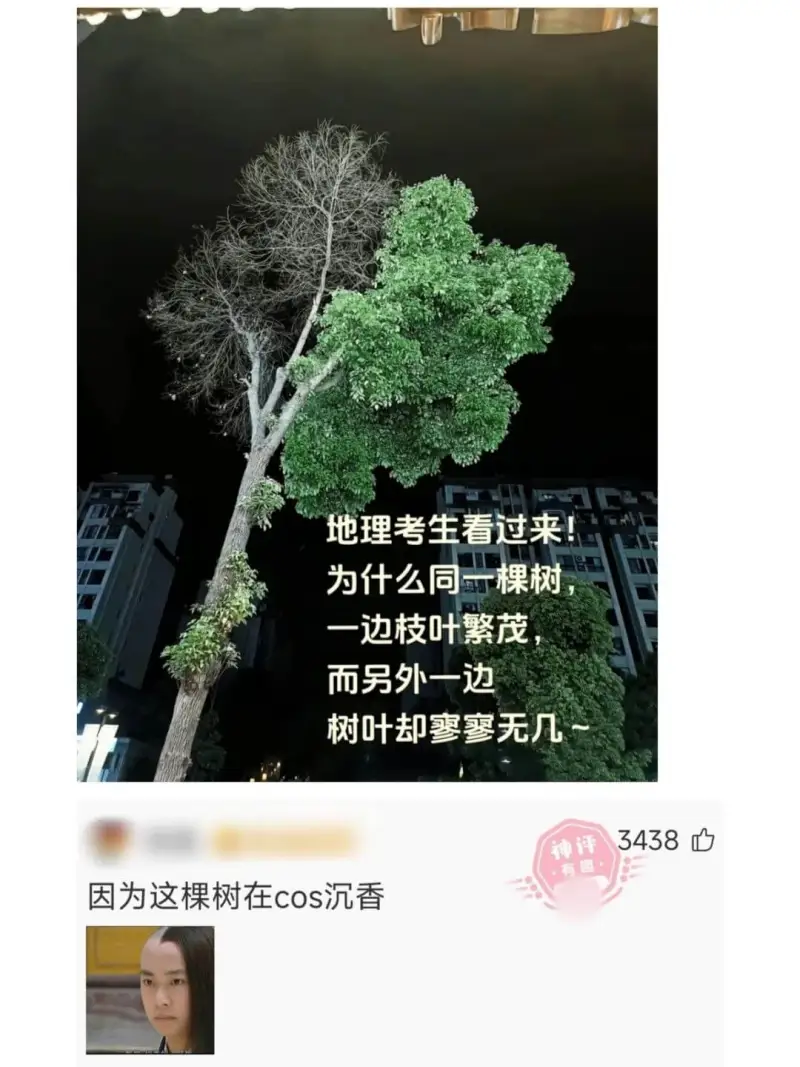 地理考生看过来为什么同一棵树一边枝叶繁茂而另外一边树叶却寥寥