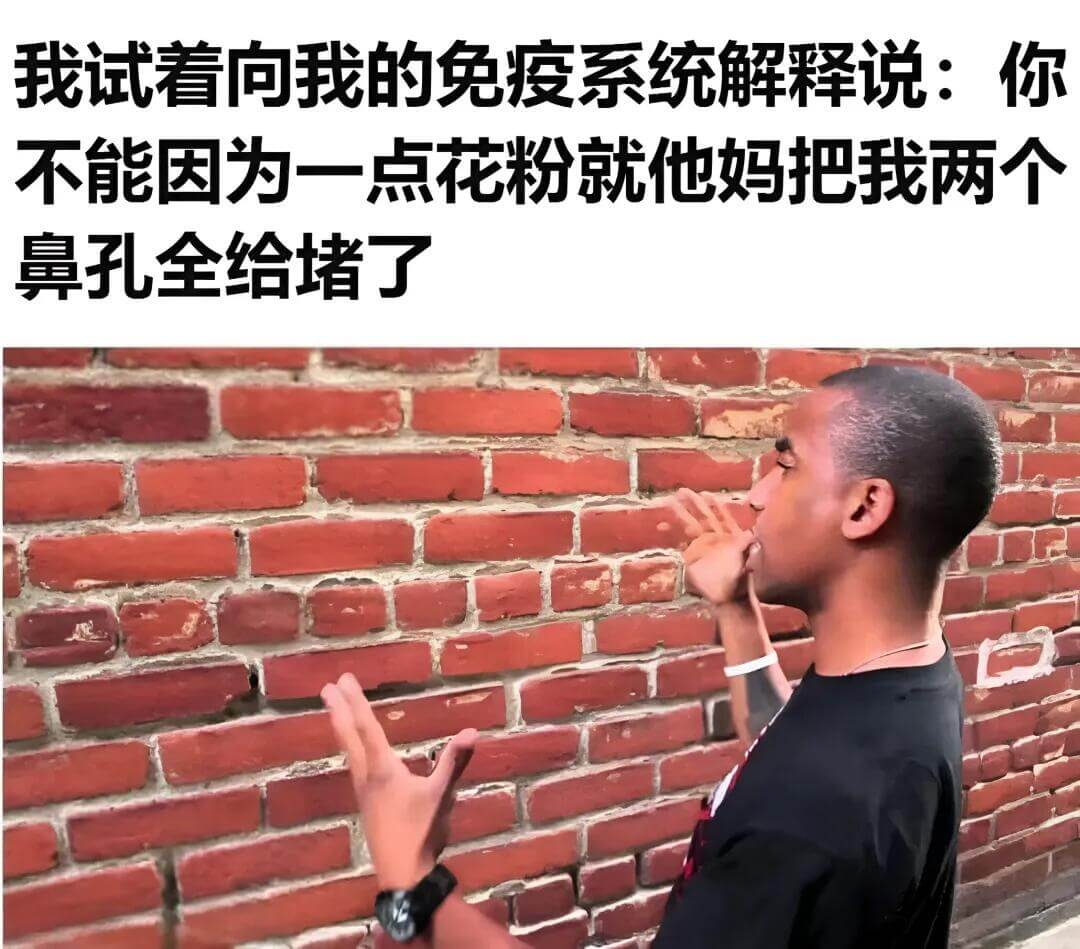 我试着向我的免疫系统解释说：你不能因为一点花粉就他妈把我两个