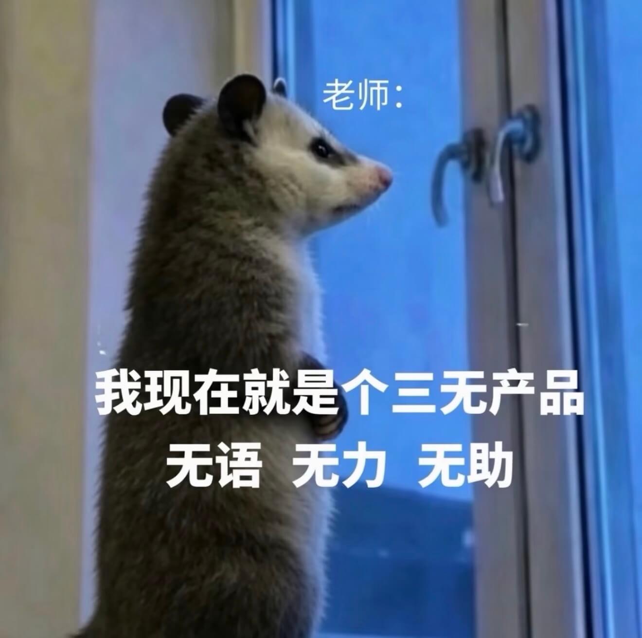 老师：我现在就是个三无产品：无语、无力、无助。