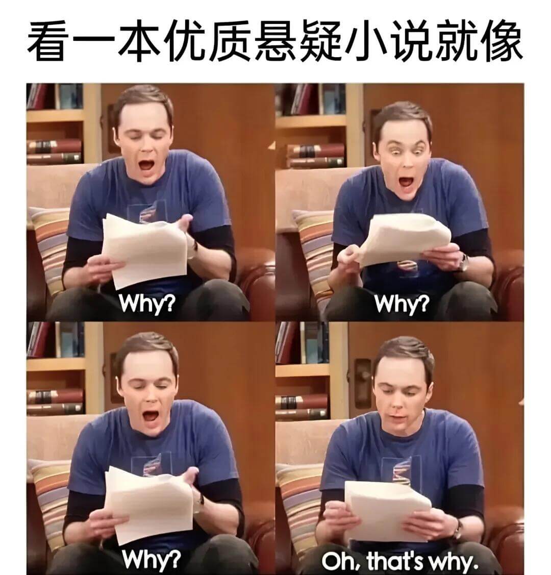 看一本优质悬疑小说就像Why?Why?Why?Oh,that