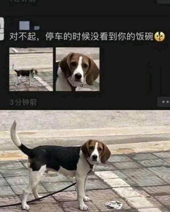 对不起，停车的时候没看到你的饭碗3分钟前