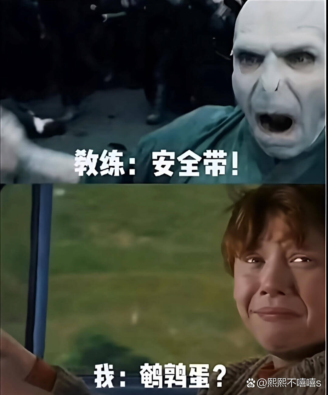 教练：安全带！我：鹑蛋？爸@熙熙不嘻嘻s