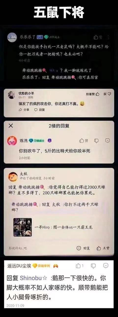 五鼠下将乐乐乐了6刀华战士但是你能徒手打死一只老鼠吗？大概率