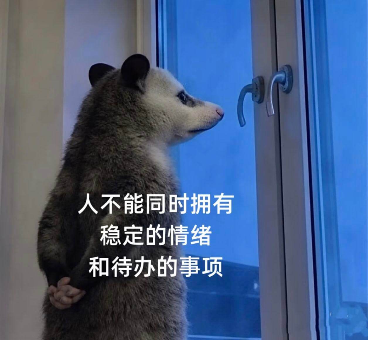 人不能同时拥有稳定的情绪和待办的事项