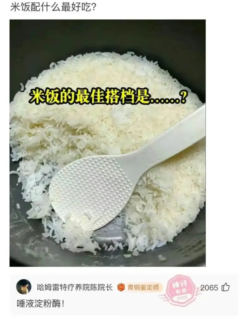 米饭配什么最好吃？米饭的最佳搭档是.....?神评哈姆雷特疗