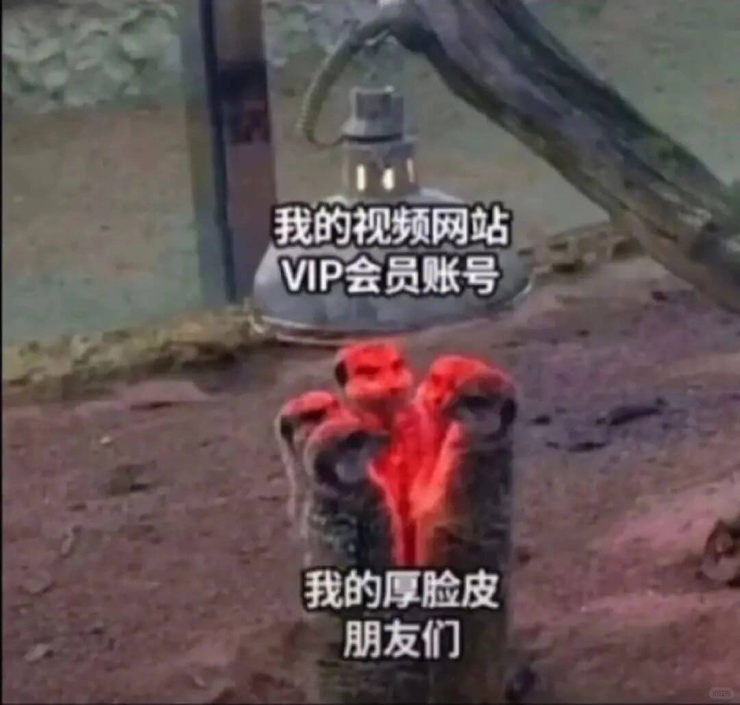 我的视频网站VIP会员账号我的厚脸皮朋友们