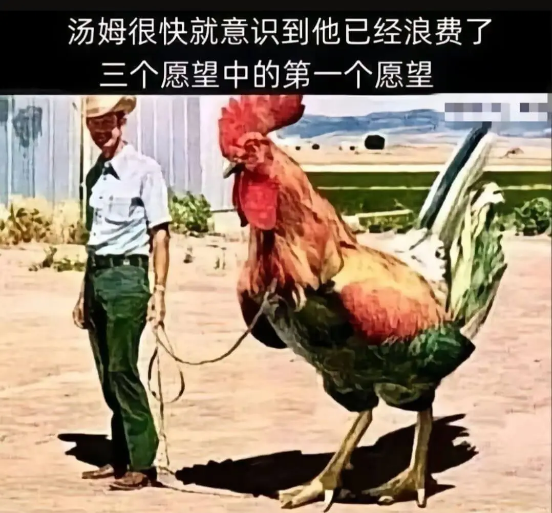 汤姆很快就意识到他已经浪费了三个愿望中的第一个愿望