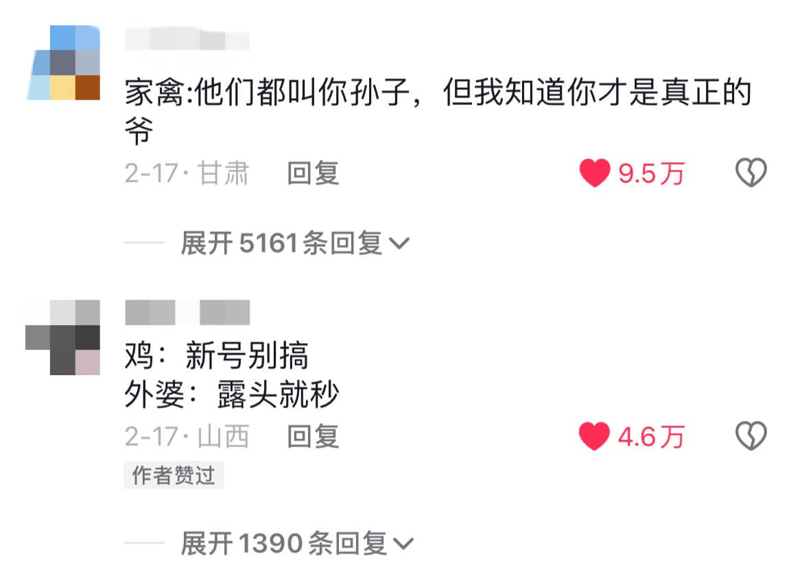 家禽:他们都叫你孙子，但我知道你才是真正的爷2-17·甘肃回