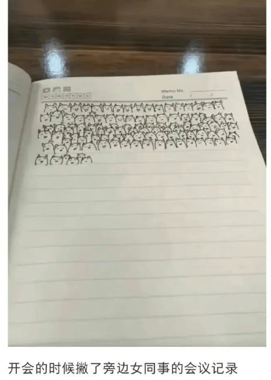 MemoNa开会的时候撇了旁边女同事的会议记录
