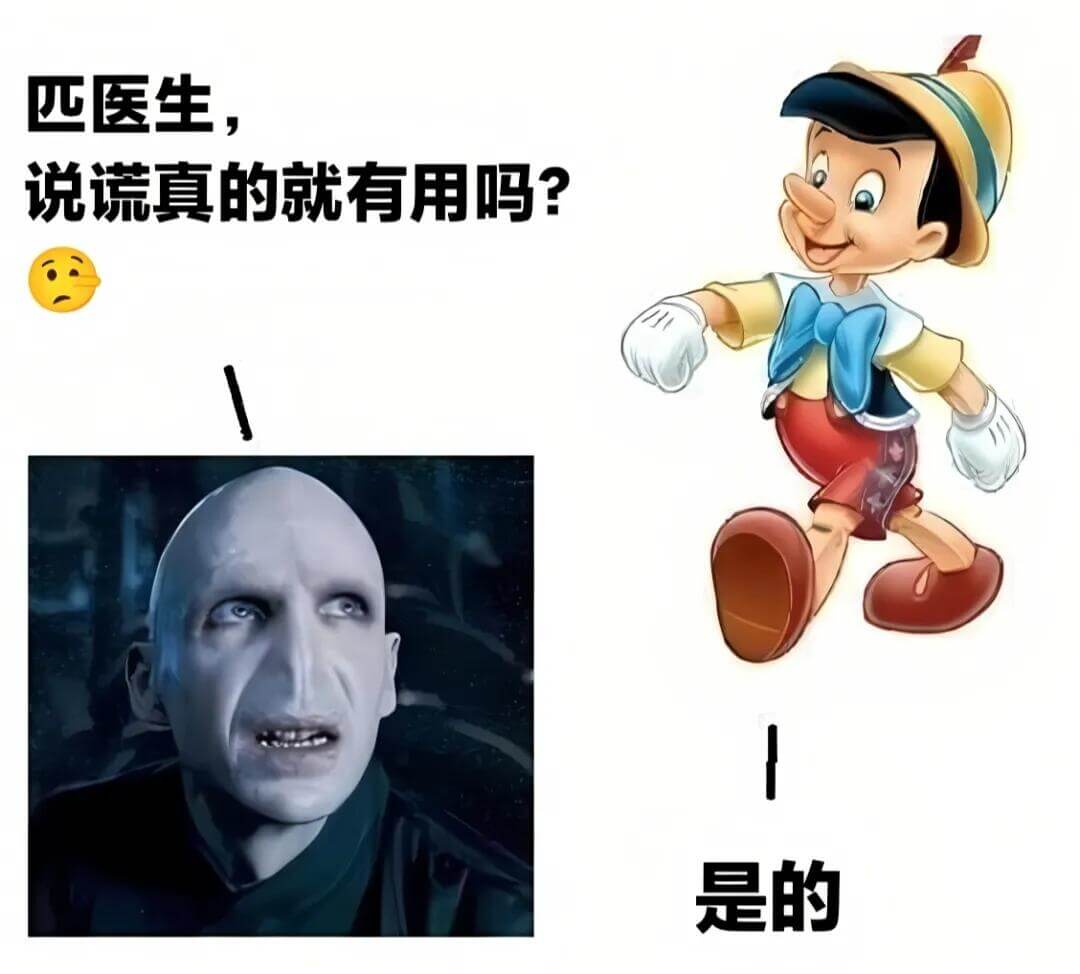 匹医生，说谎真的就有用吗？是的