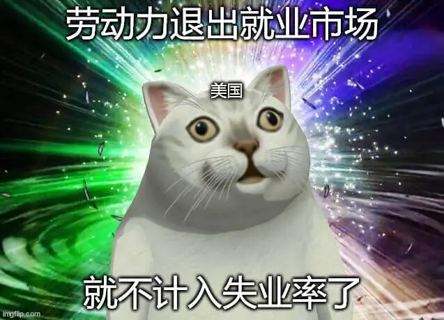 劳动力退出就业市场，就不计入失业率了。