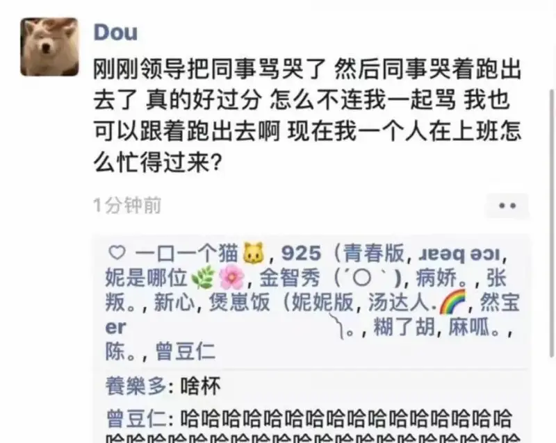 Dou刚刚领导把同事骂哭了，然后同事哭着跑出去了。真的好过分