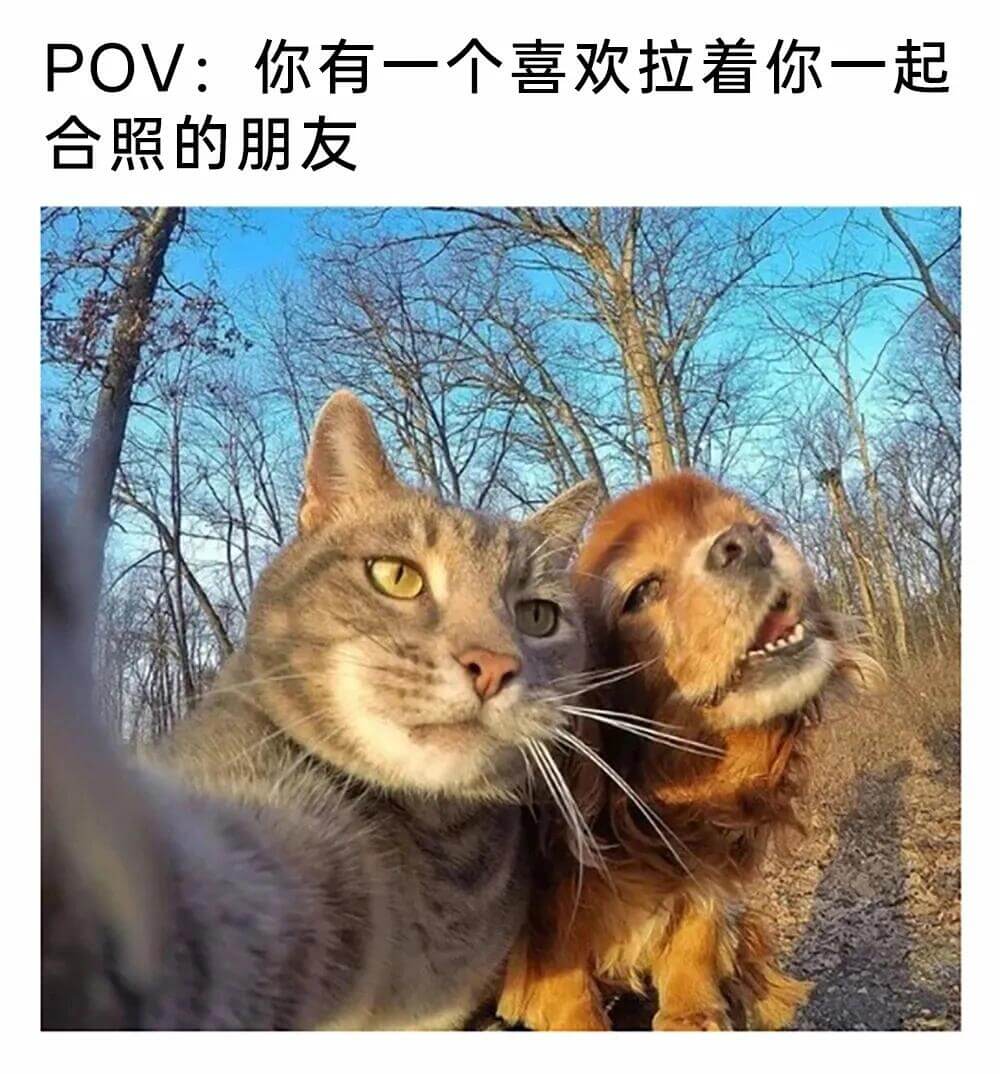 POV：你有一个喜欢拉着你一起合照的朋友