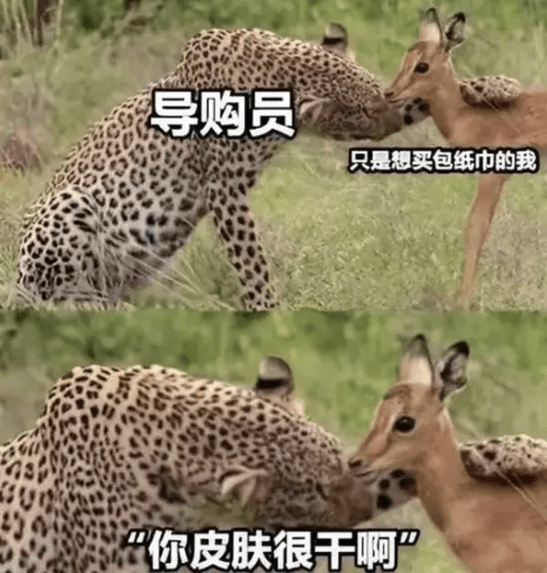 导购员只是想买包纸巾的我，“你皮肤很干啊”