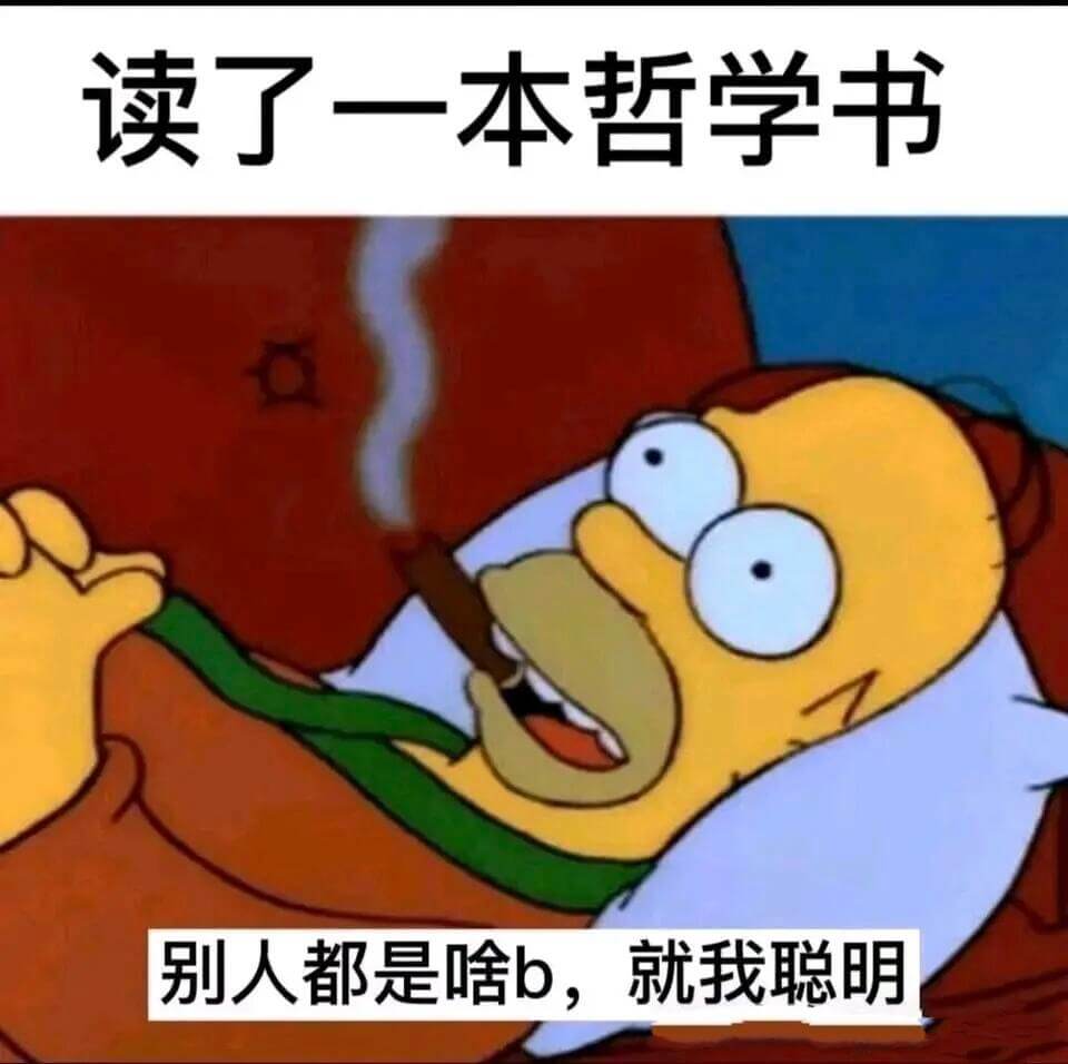 读了一本哲学书，别人都是啥b，就我聪明