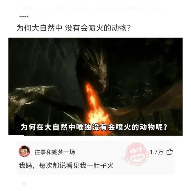 为何大自然中没有会喷火的动物?为何在大自然中唯独没有会喷火的