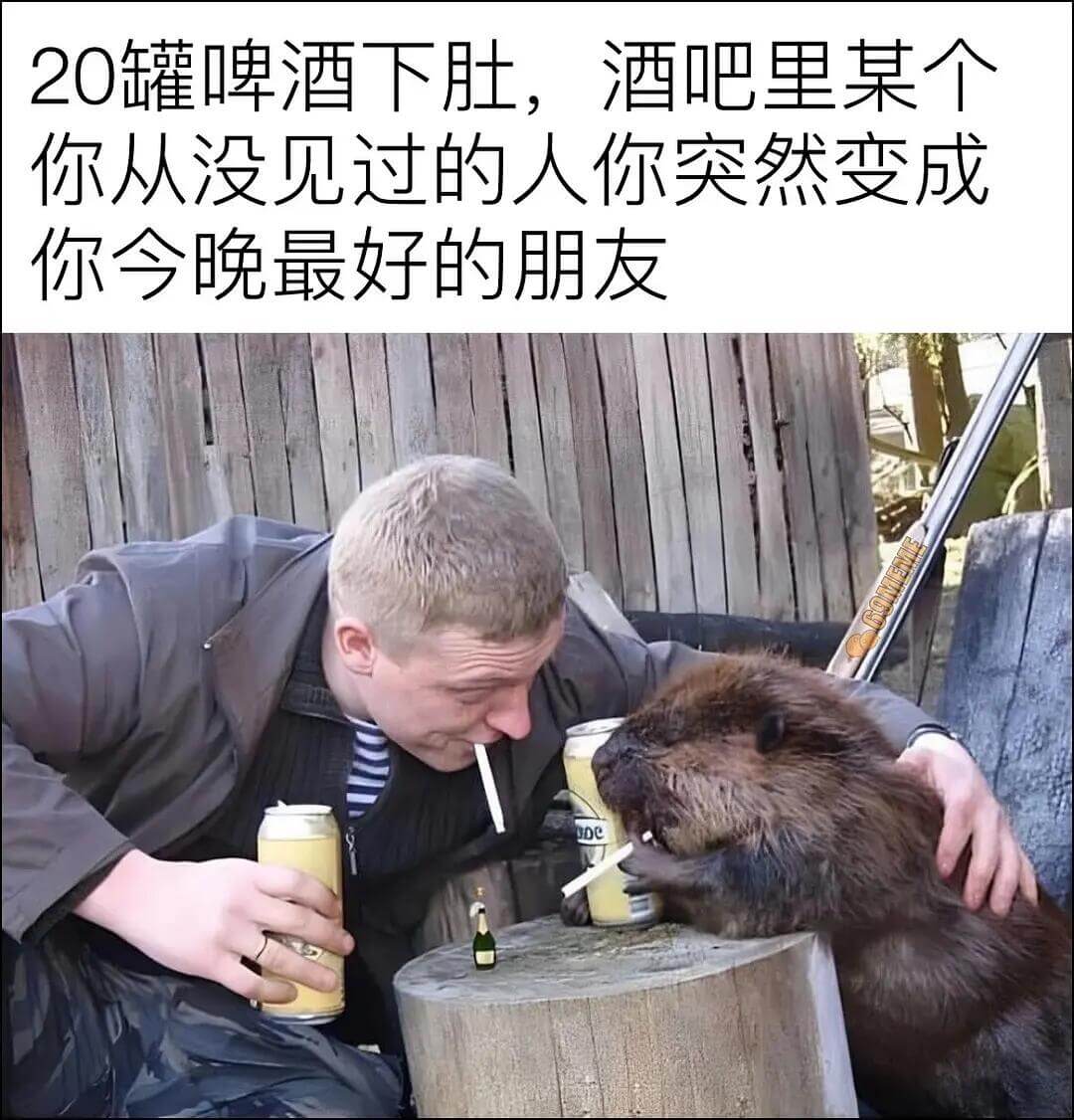 20罐啤酒下肚，酒吧里某个你从没见过的人，你突然变成你今晚最