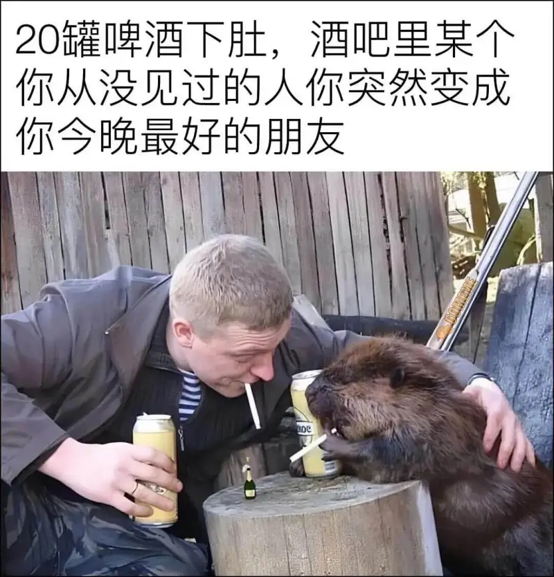 20罐啤酒下肚，酒吧里某个你从没见过的人，你突然变成你今晚最