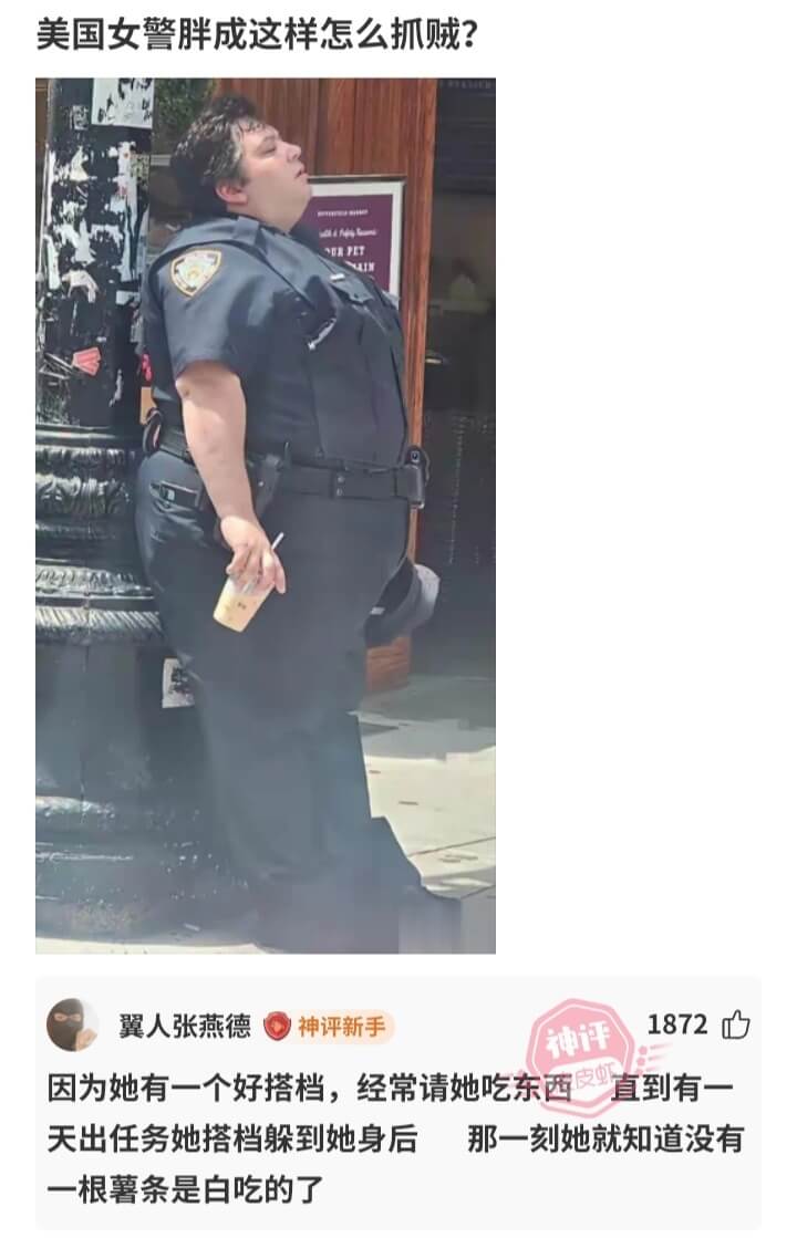 美国女警胖成这样怎么抓贼?--DAIN翼人张燕德1872神评