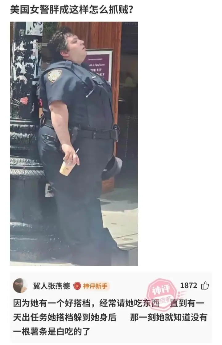 美国女警胖成这样怎么抓贼?--DAIN翼人张燕德1872神评