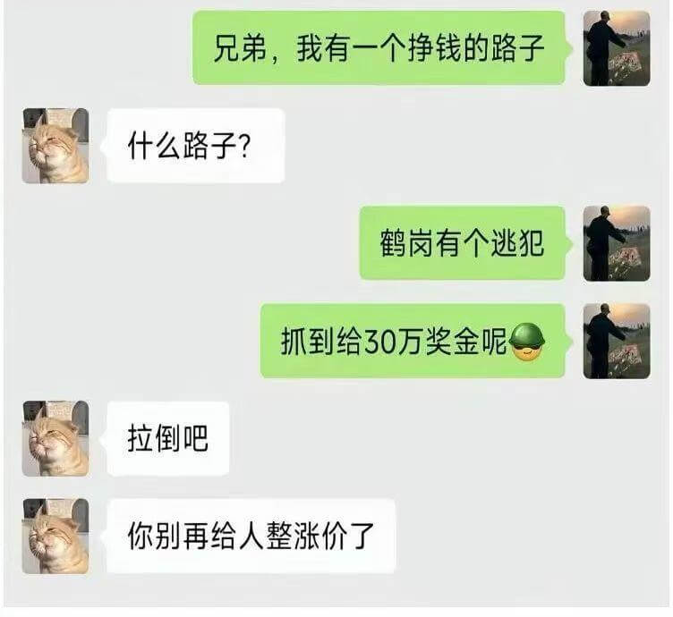 兄弟，我有一个挣钱的路子。什么路子？鹤岗有个逃犯，抓到给30