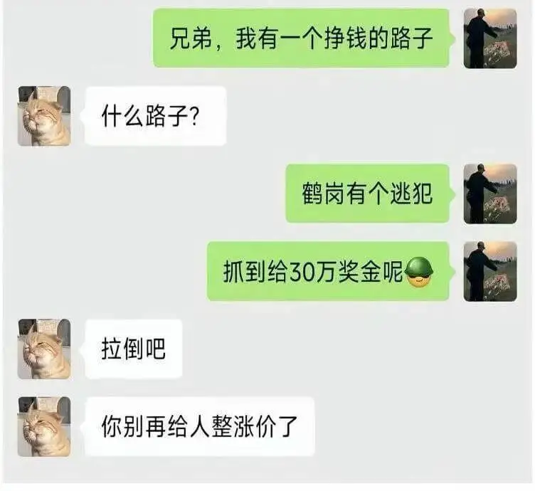 兄弟，我有一个挣钱的路子。什么路子？鹤岗有个逃犯，抓到给30